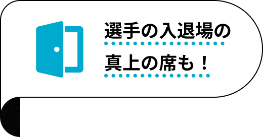 選手の入退場の真上の席も！